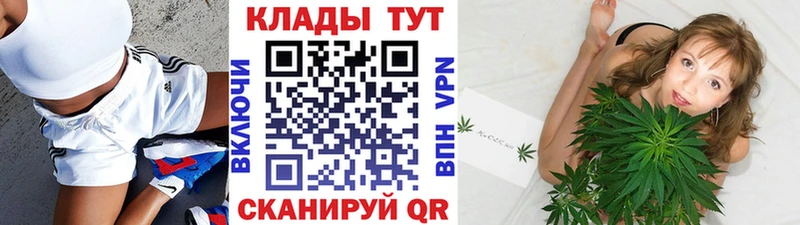 Где найти наркотики Краснознаменск Cocaine  ГАШИШ  Галлюциногенные грибы  Каннабис  A PVP 