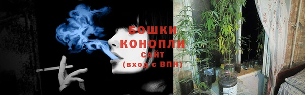 гидропоника Богородск