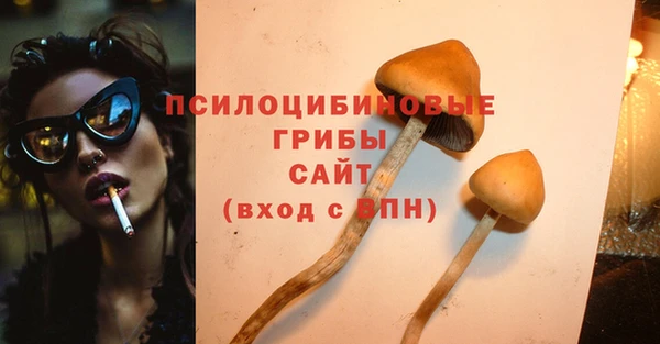 винт Богданович