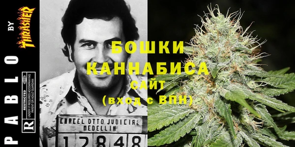 винт Богданович
