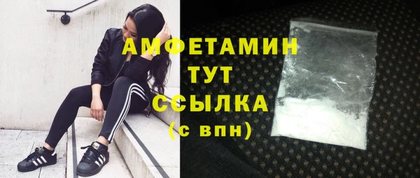 PSILOCYBIN Богородицк