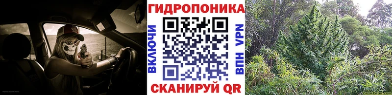 кракен как зайти  Краснознаменск  Конопля White Widow 